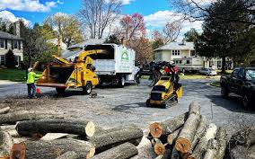 Best Tree Risk Assessment  in Linganore, MD